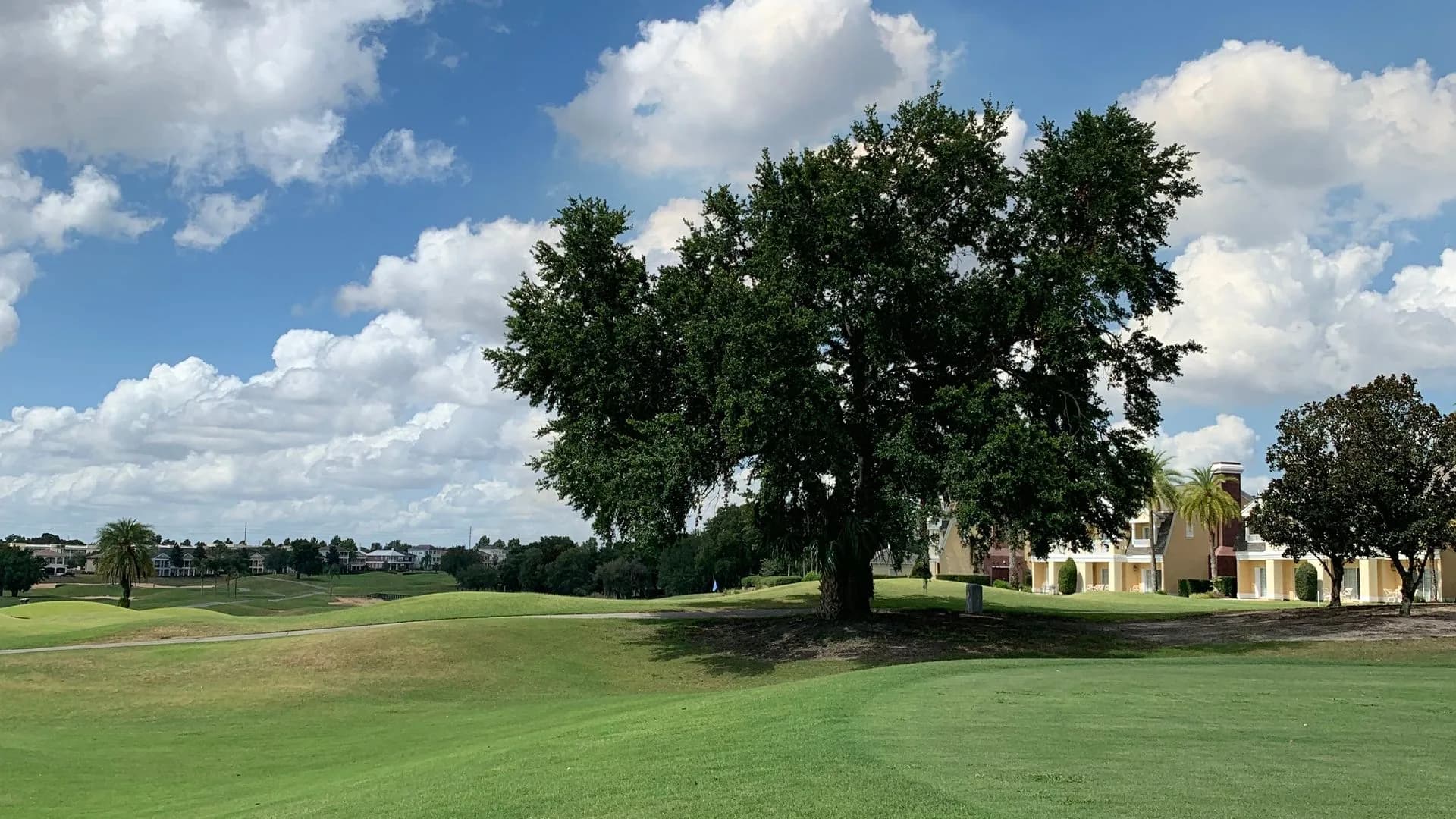 The Valspar Championship at Innisbrook