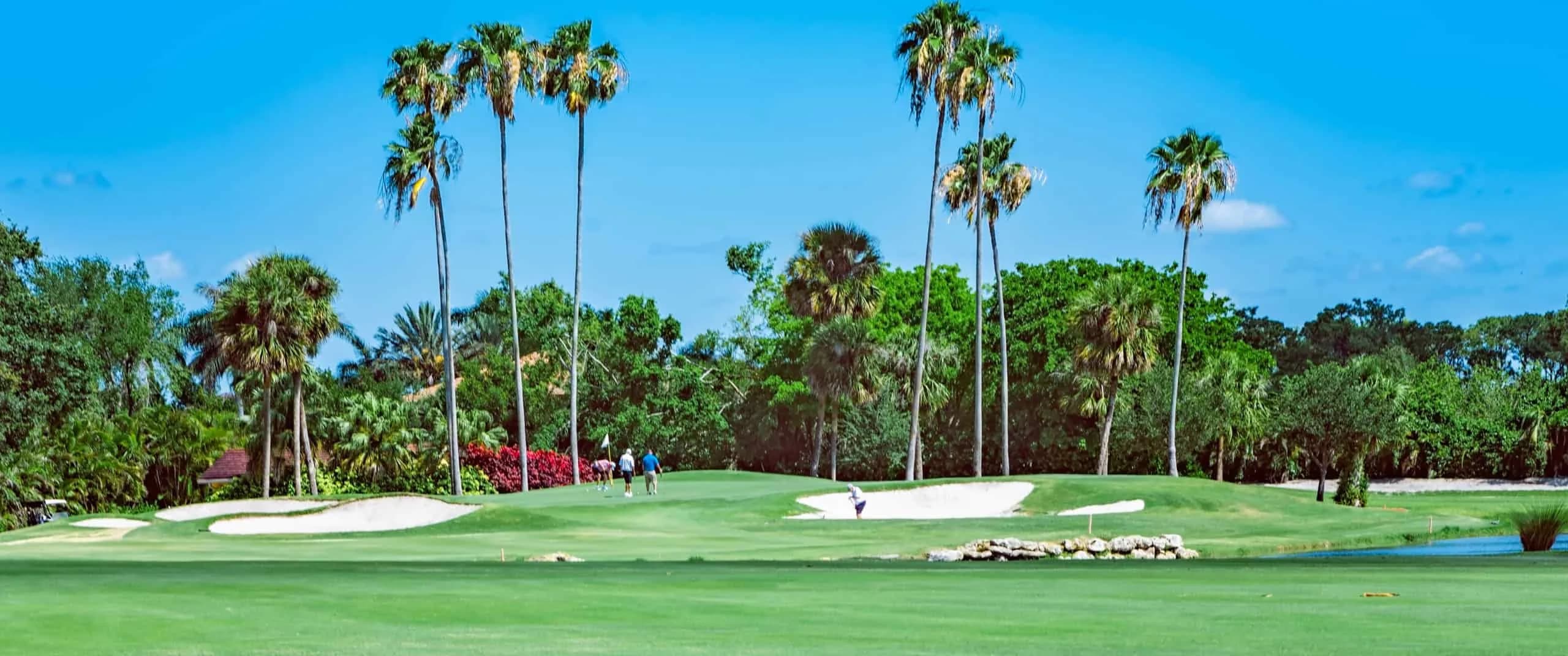 Atlantic National Golf Club - Palm Beach, FL golf course