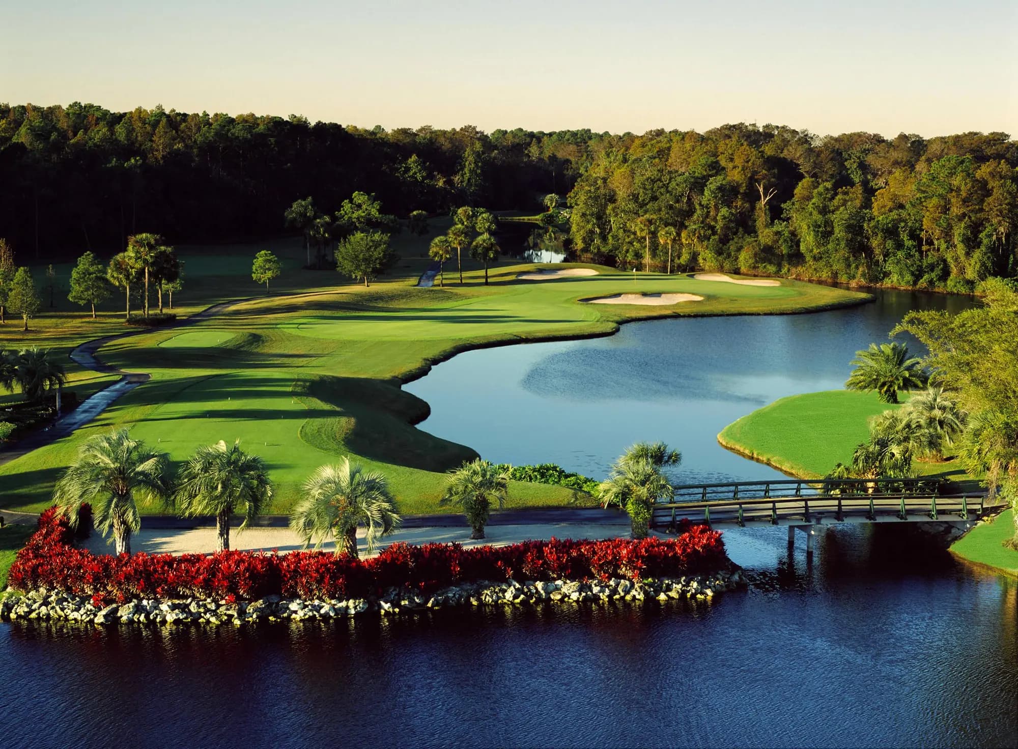 Disney's Palm Golf Course - Orlando, FL golf course