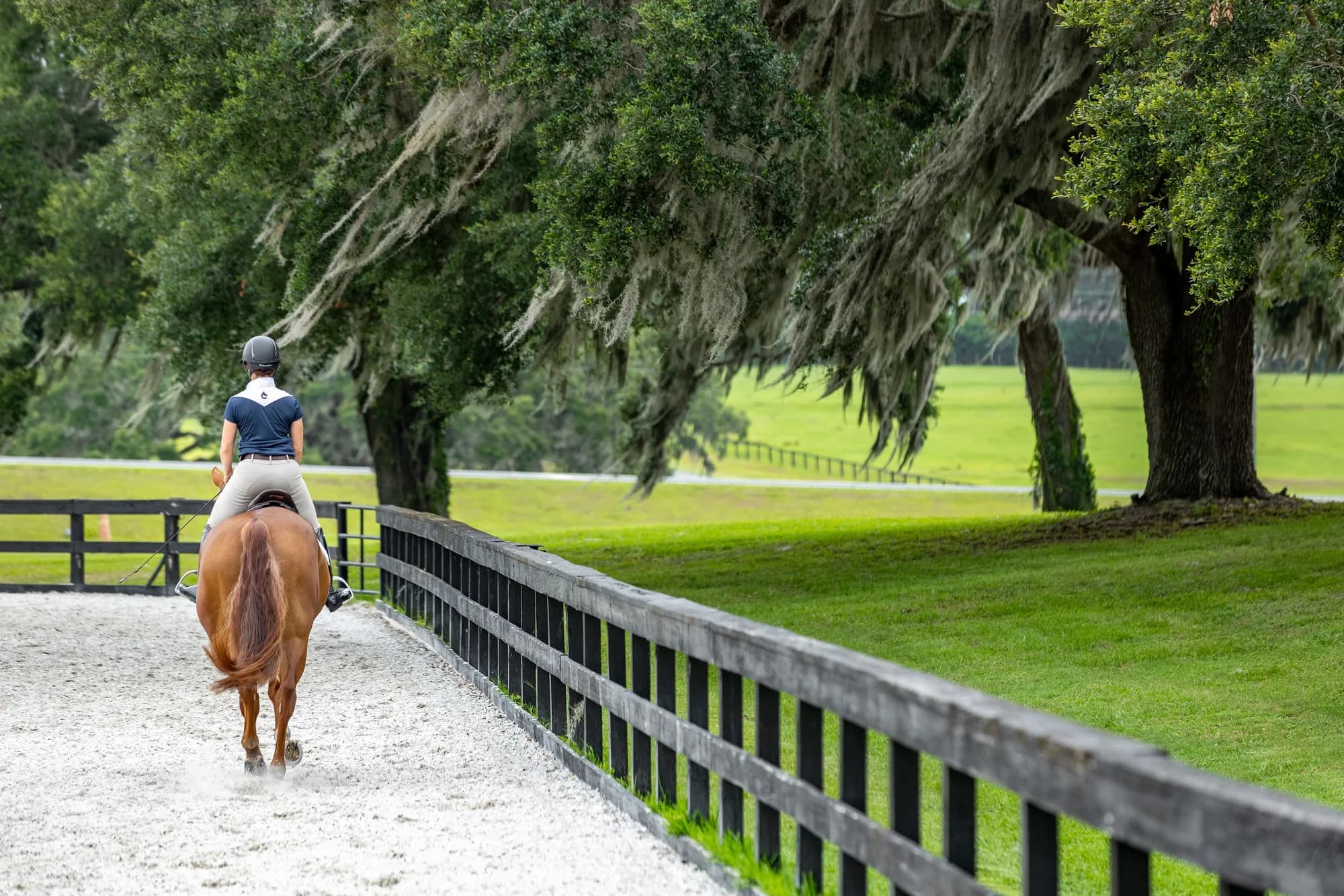 Golden Ocala Golf & Equestrian Club