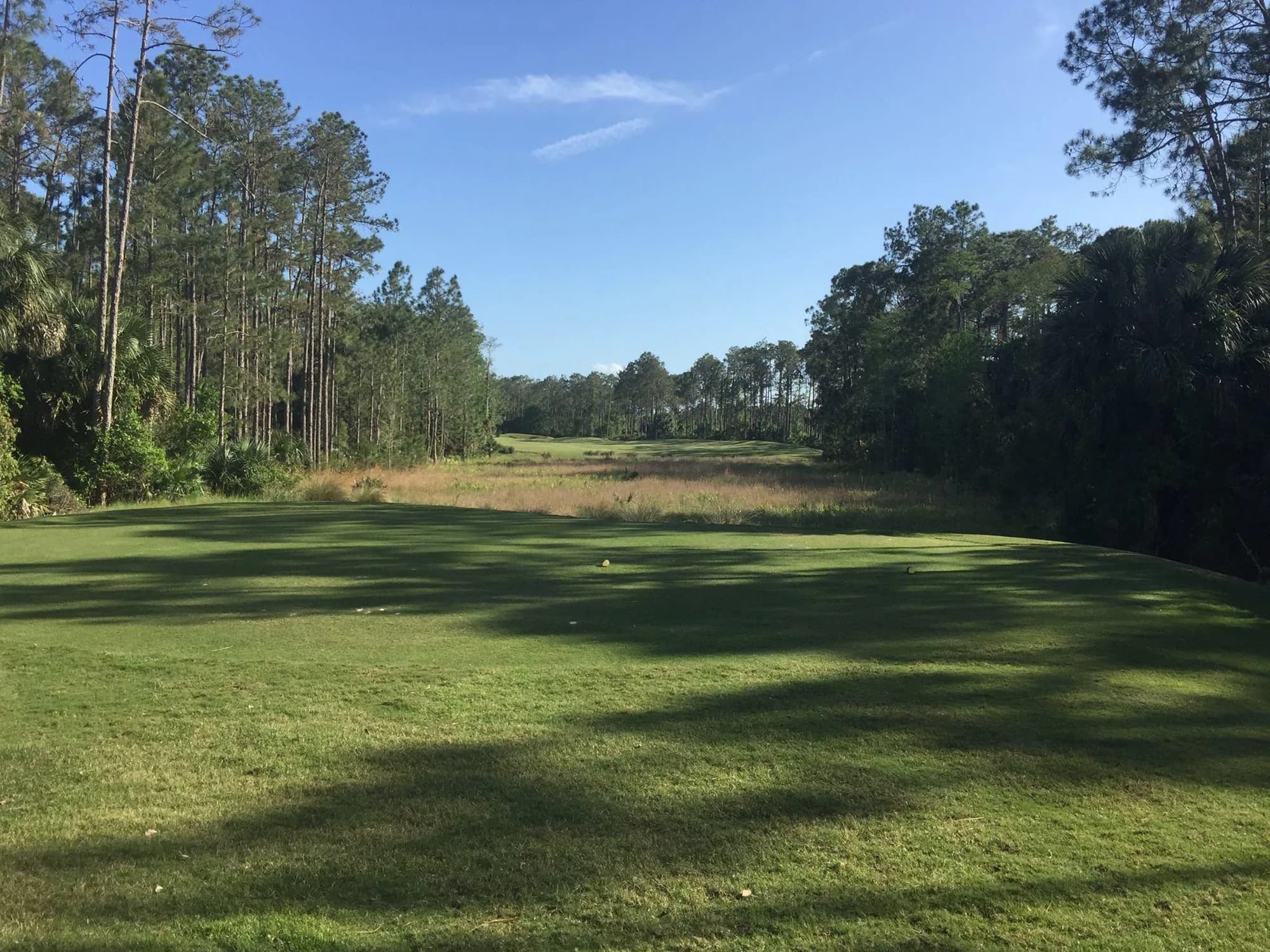 LPGA International — Hills Course