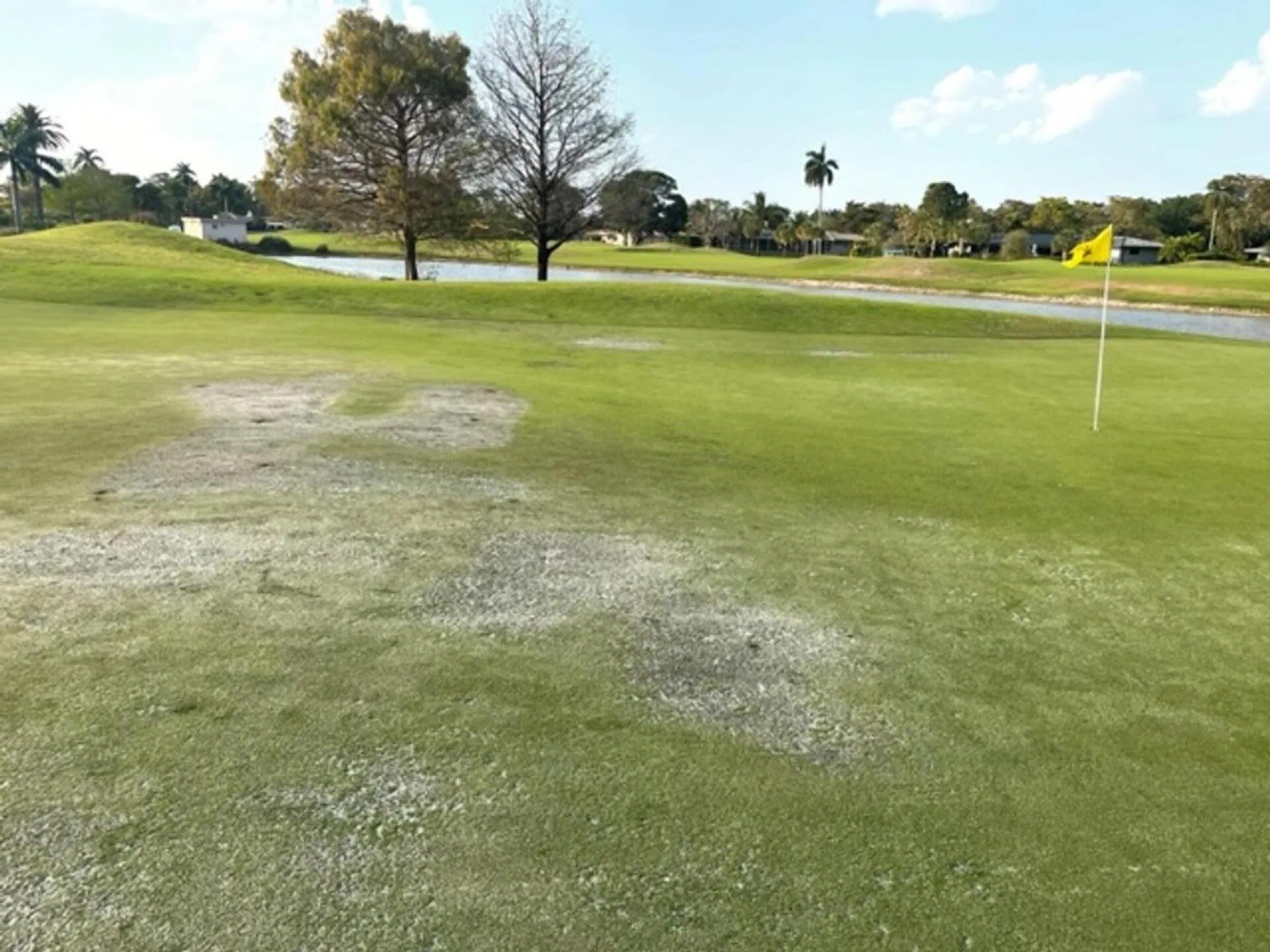 Plantation Preserve Golf Course & Club - Fort Lauderdale, FL golf course