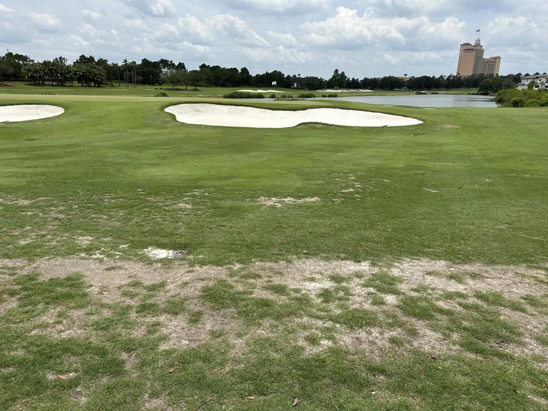 Ritz-Carlton Golf Club, Grande Lakes - Orlando, FL golf course