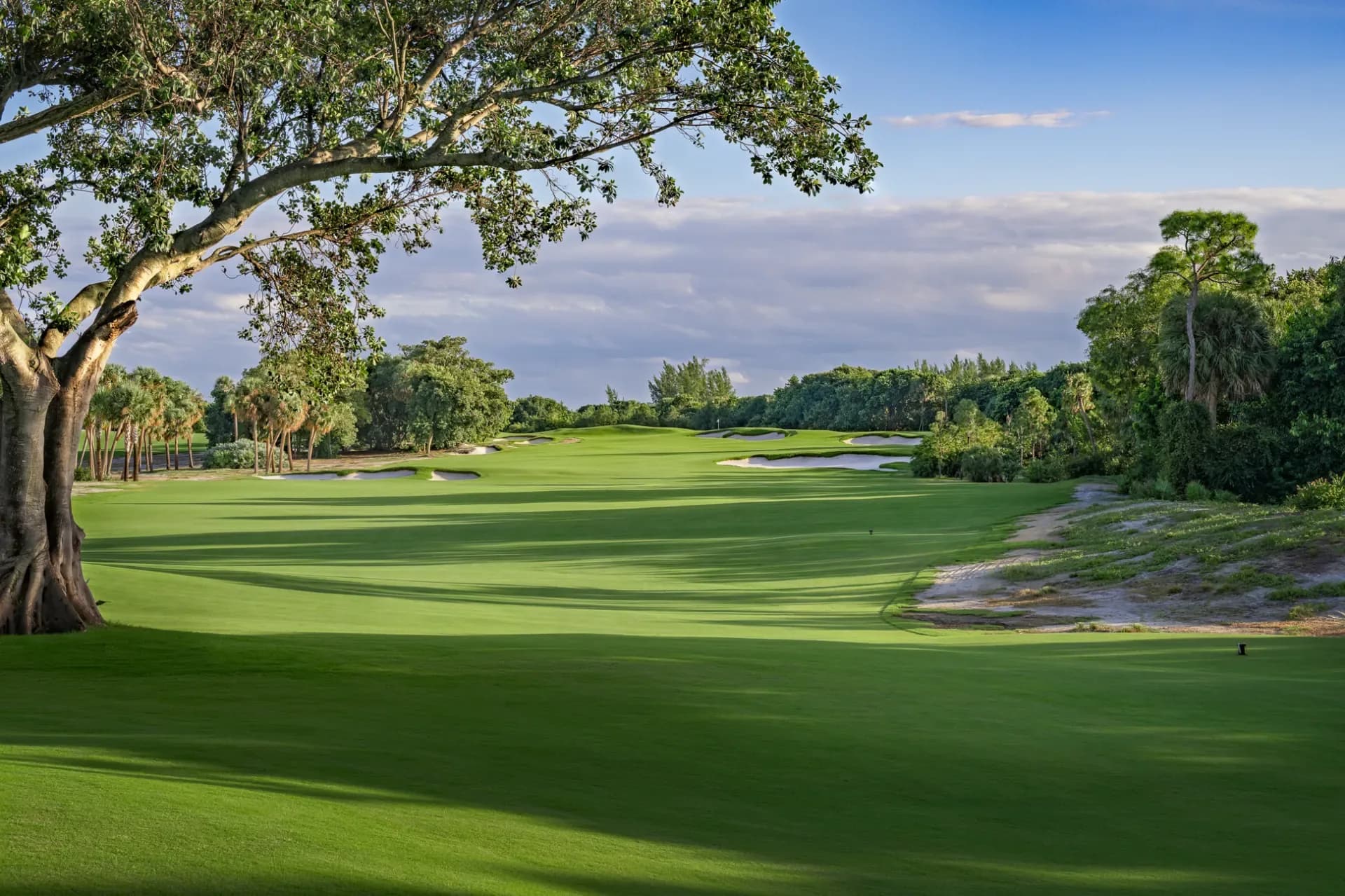 The Park Golf Course — West Palm Beach