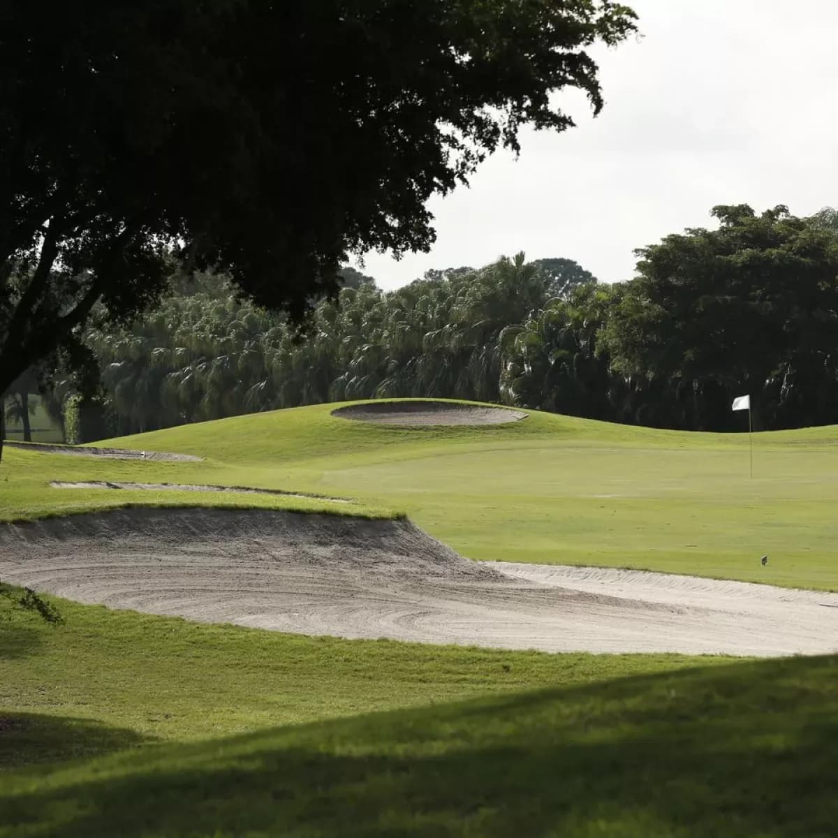Westchester Golf & Country Club - Palm Beach, FL golf course