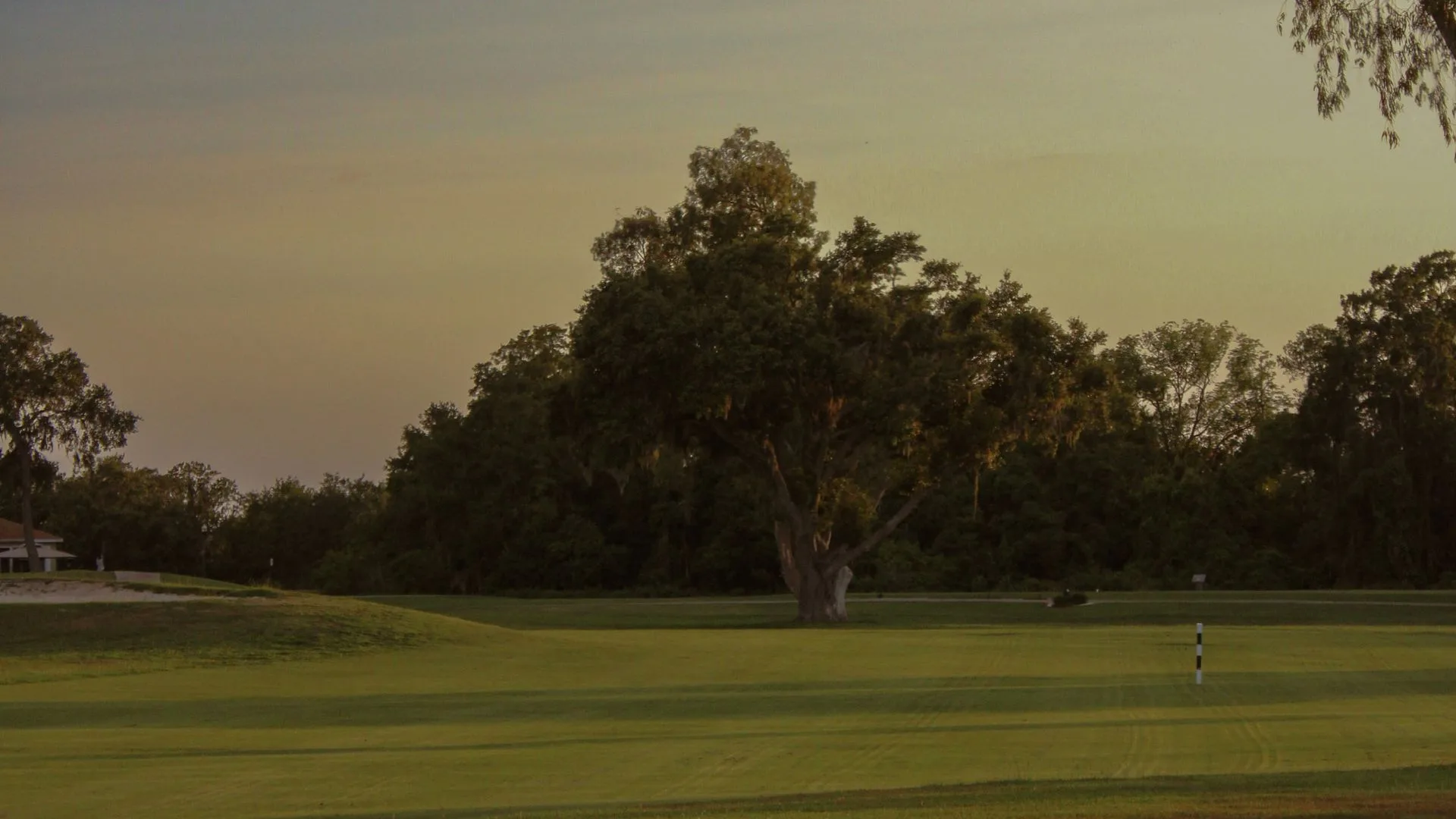 Florida golf in prime winter season — clear skies and low humidity